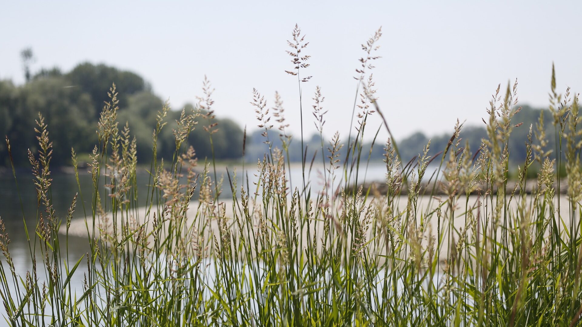 Naturwunder in Österreich: Die Donauauen