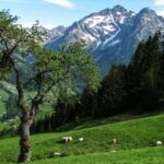 Kleinwalsertal in den Alpen