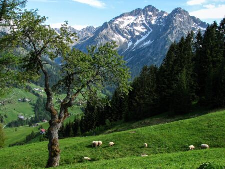 Naturwunder in Österreich – 15 magische Orte entdecken