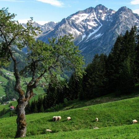 Naturwunder in Österreich – 15 magische Orte entdecken