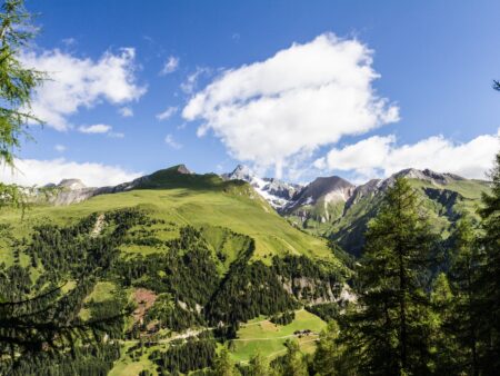 Die 6 Nationalparks in Österreich: Wichtige Lebensräume und Oasen der Entspannung