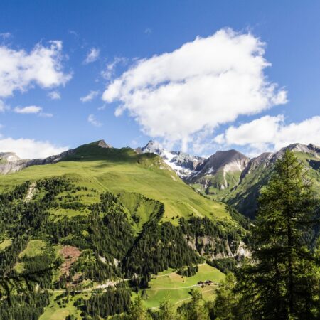 Die 6 Nationalparks in Österreich: Wichtige Lebensräume und Oasen der Entspannung